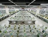 需要原文时请核对应栏目发布页