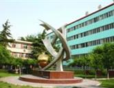 可按栏目扩展阅读相关条目